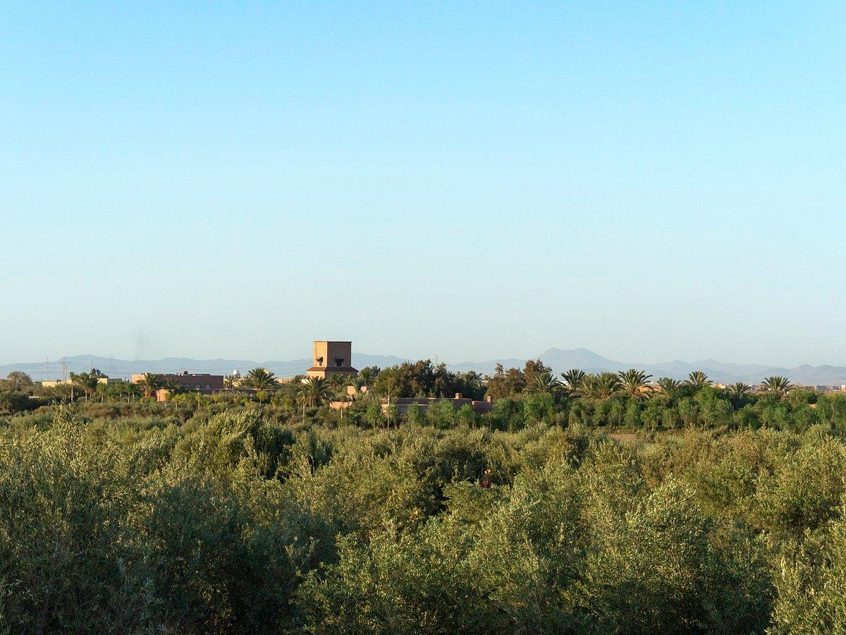 Jardin Ocre 10
