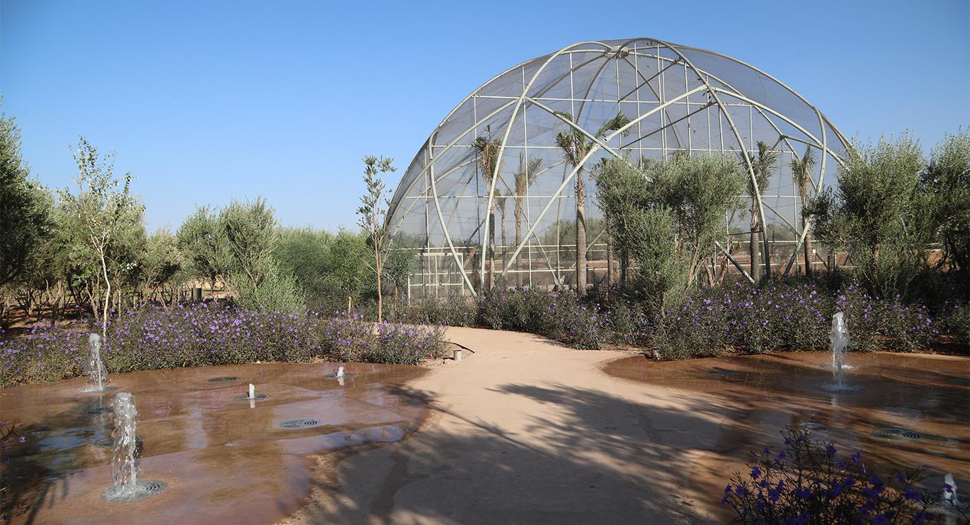 Jardin Ocre 13