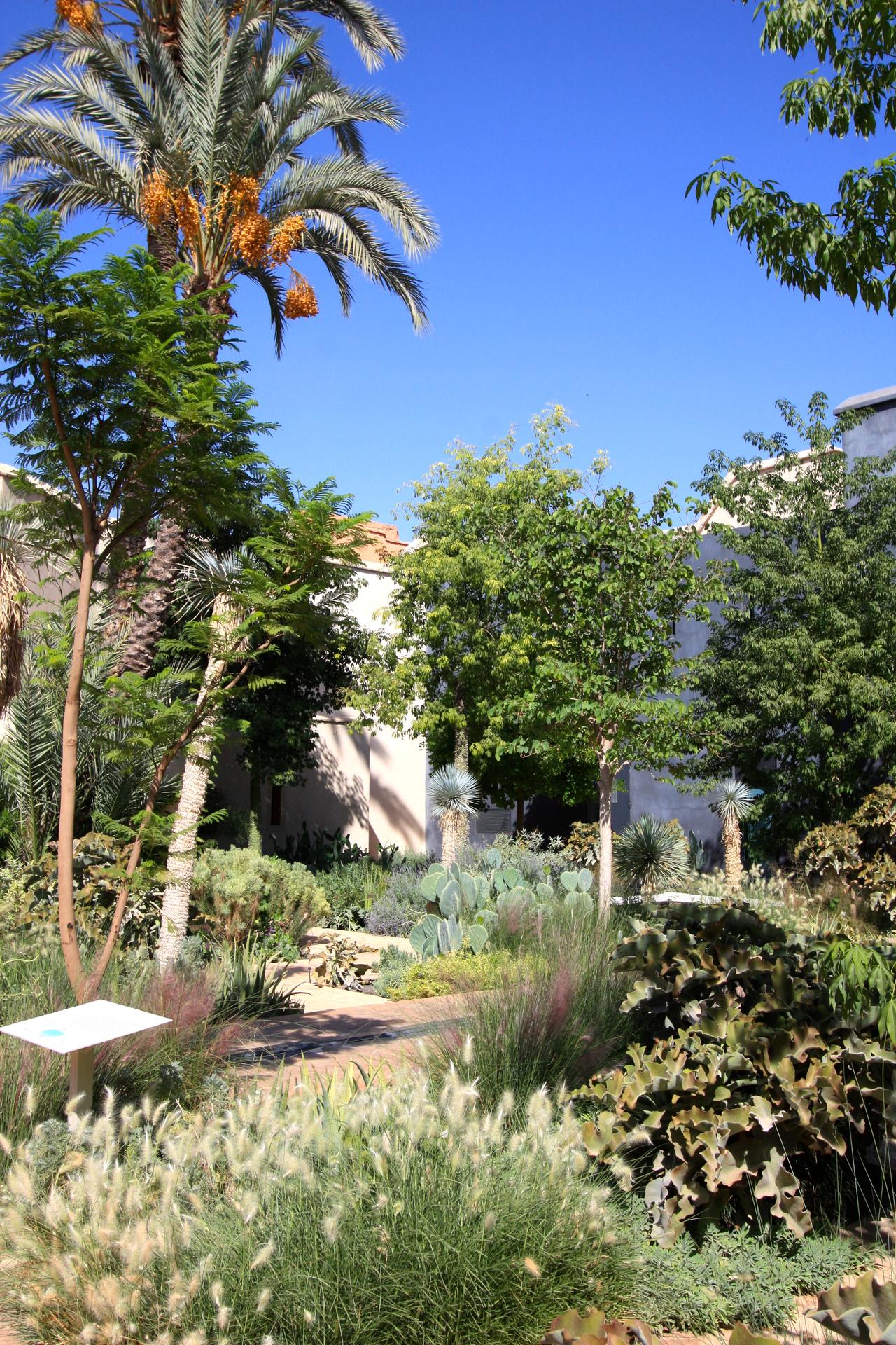 Le Jardin Secret 8