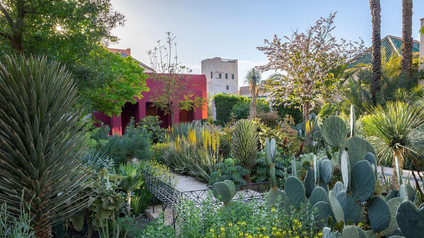 Le Jardin Secret 16